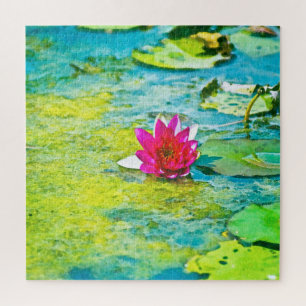 Water Lily Lilypad