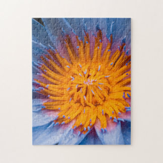 Water Lily Puzzle 11" X 14" 252 pieces