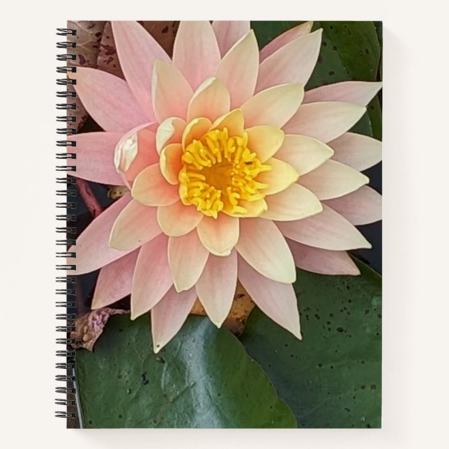 Water Lily Spiral Notebook Notizbuch (Vorderseite)