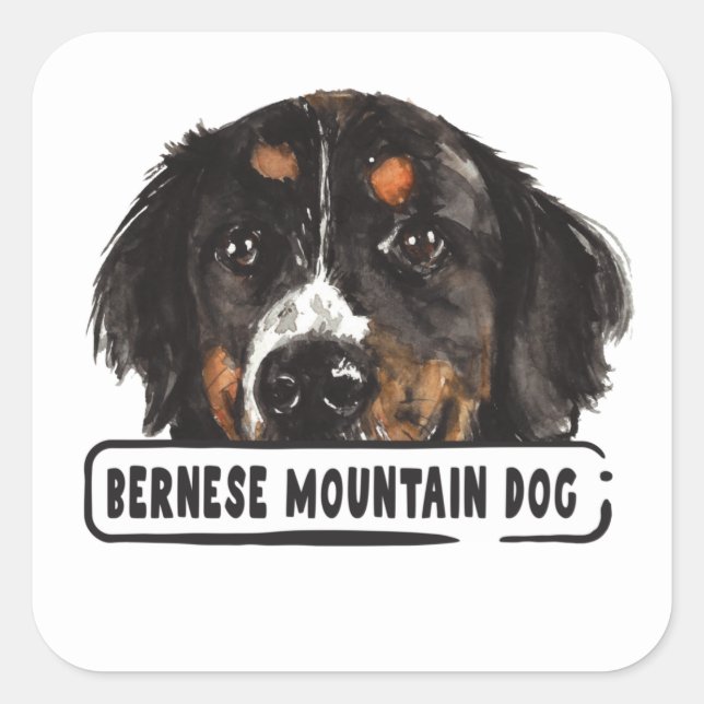 Watercolor Bernese Mountain Dog Square Sticker (Vorderseite)