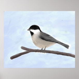 Watercolor Black-capped Chickadee Poster Print