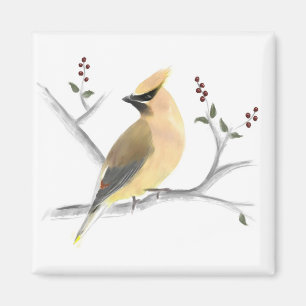 Watercolor Cedar Waxwing Magnet