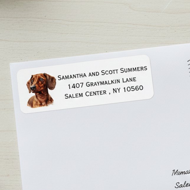 Watercolor Dachshund Dog  (Von Creator hochgeladen)