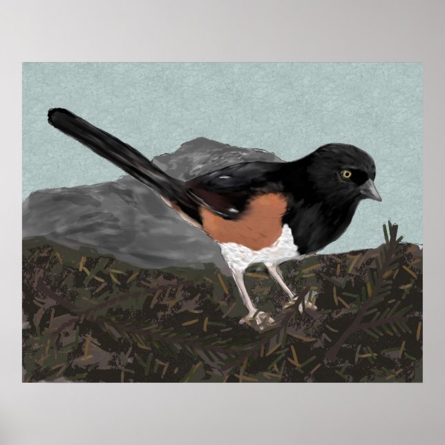 Watercolor Eastern Towhee Poster Print (Vorne)
