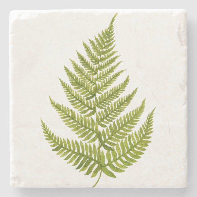 Watercolor Fern Pattern Steinuntersetzer (Vorderseite)