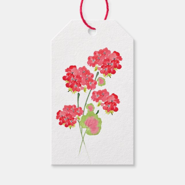 Watercolor Geraniums Stems Geschenkanhänger (Vorderseite)