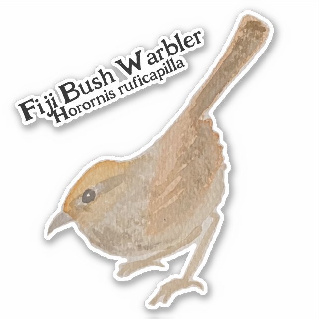 Watercolor H. ruficapilla Fiji Bush Warbler Aufkleber (Vorderseite)