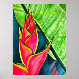 Watercolor Heliconia Tropical Blume Poster