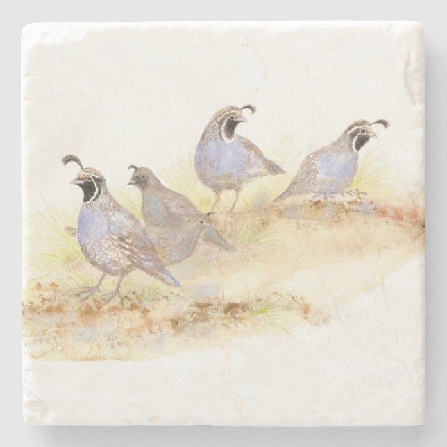 Watercolor, Kalifornien Quail Bird Kunst Steinuntersetzer (Vorderseite)