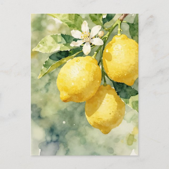 Watercolor Lemon Branch Botanical Summer Postkarte (Vorderseite)
