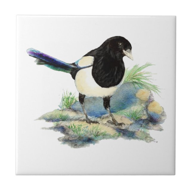 Watercolor Magpie Bird Blickfang Fliese (Vorderseite)