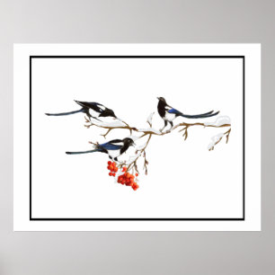 Watercolor Magpie Birds Nature Poster