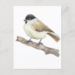 Watercolor Marsh Tit Postkarte