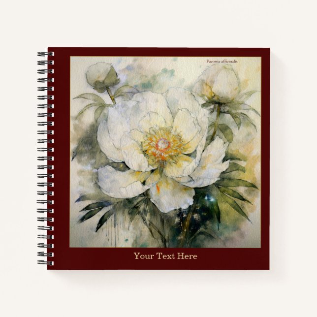 Watercolor Paeonia Officinalis Notebook #1 Notizbuch (Vorderseite)