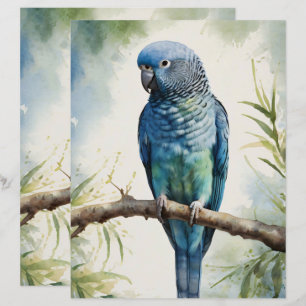 Watercolor Parakeet Eukalyptus Scrapbook Paper