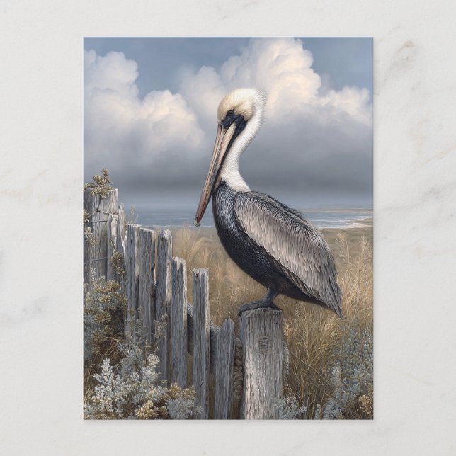 Watercolor Pelican on a Fence Postkarte (Vorderseite)