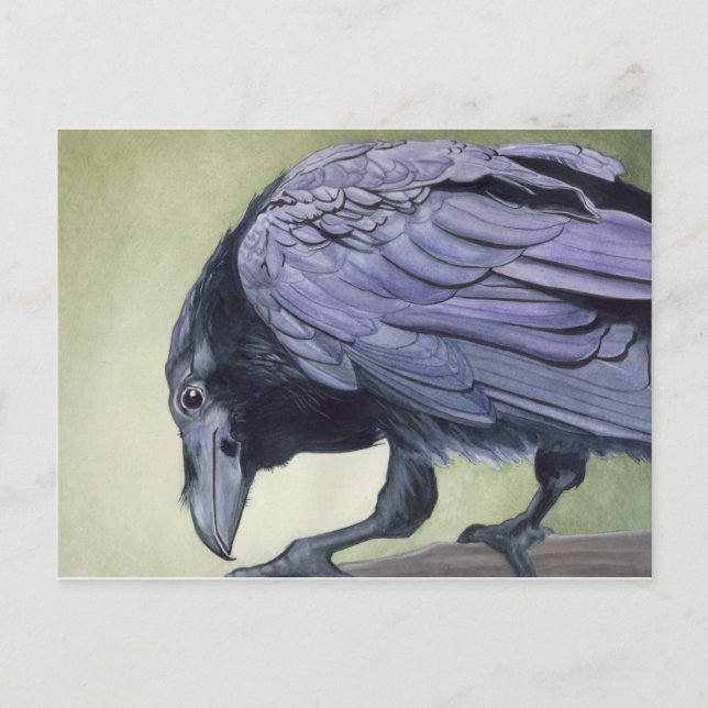 Watercolor Raven Postcard Postkarte (Vorderseite)