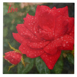 Watercolor Rose Fliese