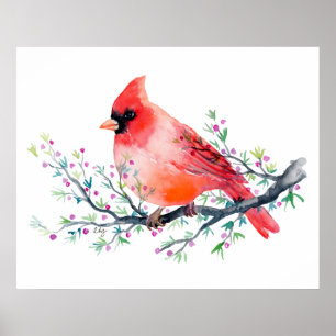 Watercolor-roter Kardinal auf Beeren-Niederlassung Poster