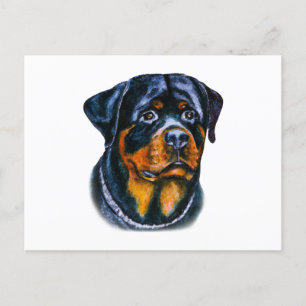 Watercolor Rottweiler Postkarte