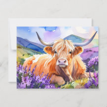 Watercolor Scottish Highland Cow Postcard