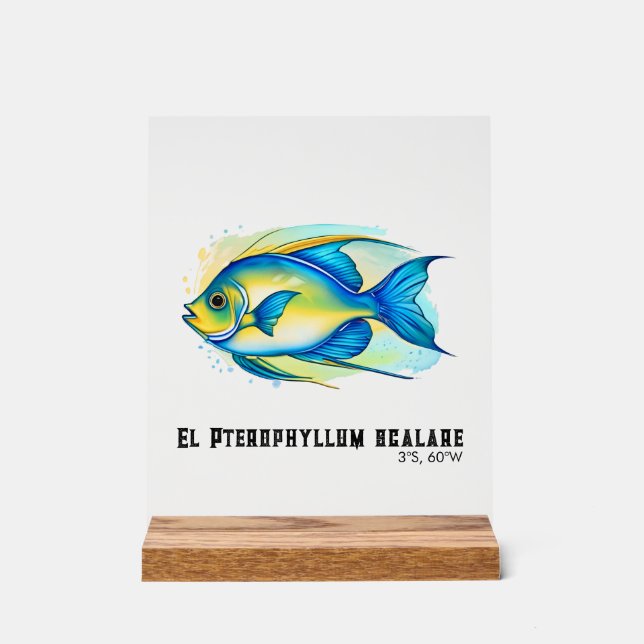 Watercolor Series: Angelfish (Recto)