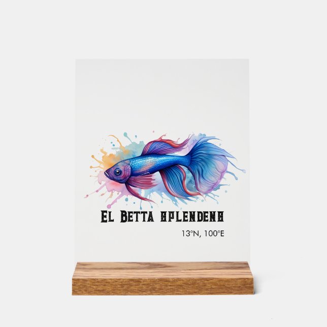 Watercolor Series: Betta Fish Acrylschild (Vorderseite)
