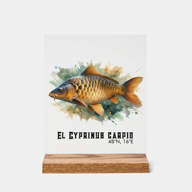 Watercolor Series: Carp Acrylschild (Vorderseite)