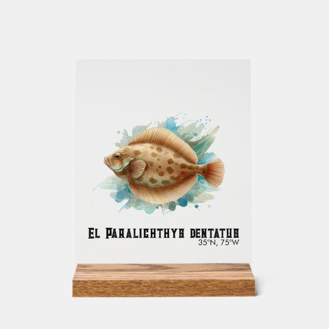 Watercolor Series: Flounder/Flatfish (Recto)