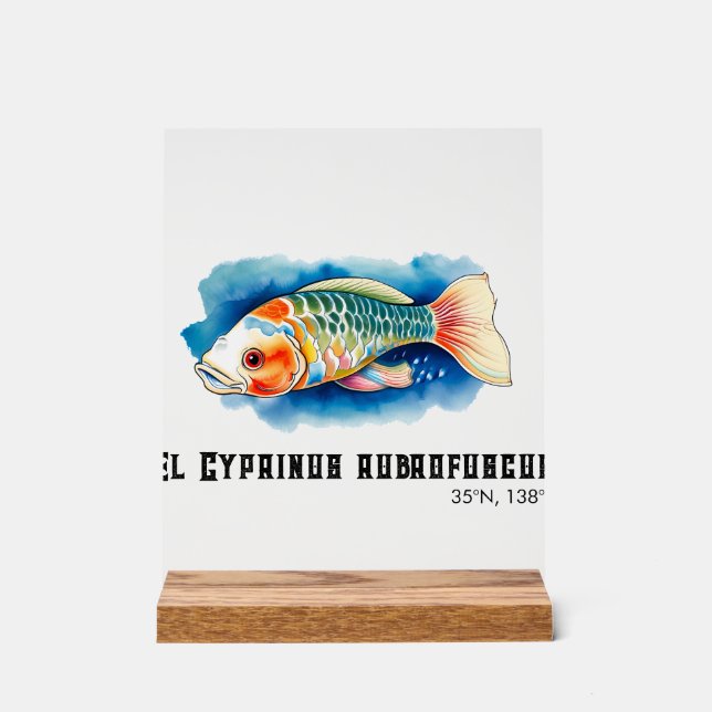 Watercolor Series: Koi Fish Acrylschild (Vorderseite)