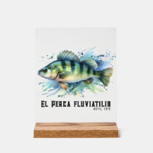 Watercolor Series: Perch