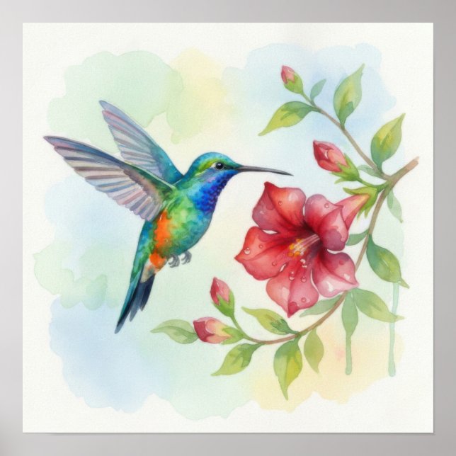 Watercolor Small Hummingbird Poster (Vorne)