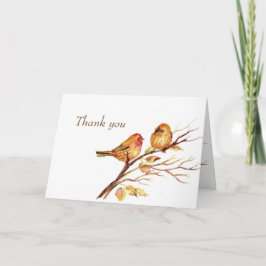 Watercolor Song Sparrows Brown Birds Danke