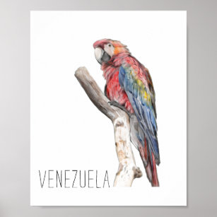 Watercolor Venezuela Guacamaya Poster