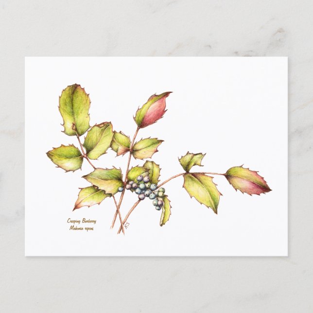 Watercolor wildflower barberry postcard postkarte (Vorderseite)