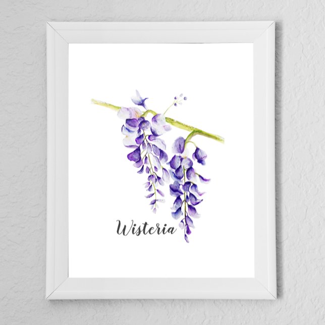 Watercolor Wisteria Locarno Poster (Von Creator hochgeladen)