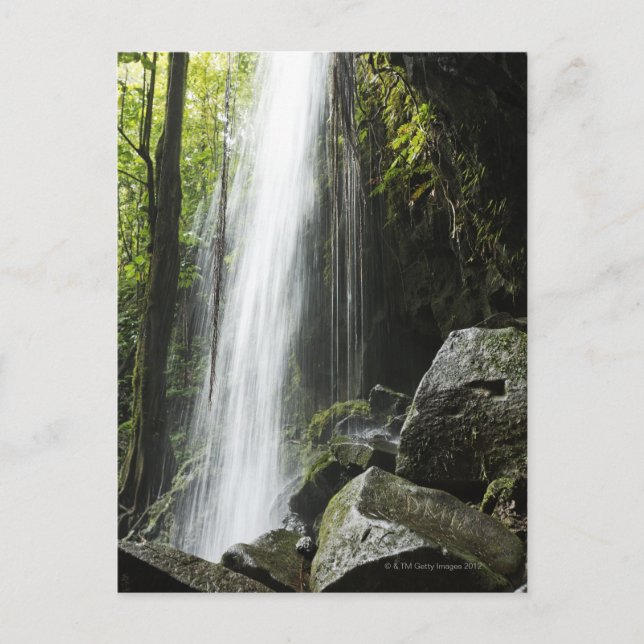 Waterfal, in rainforest, Dominica, Emerald Pool Postkarte (Vorderseite)