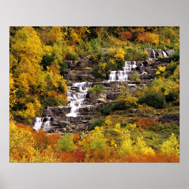 Waterfall below Mt Cannon in Glacier National Poster (Vorne)