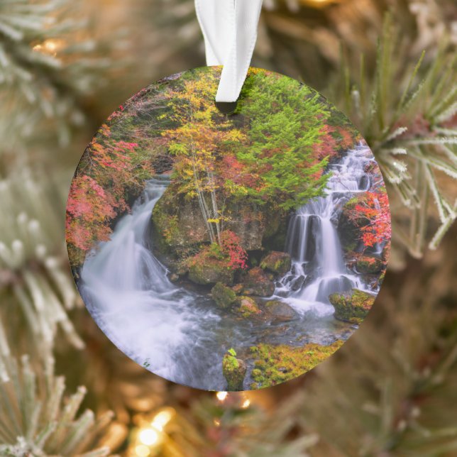 Waterfalls | Faucet Waterfalls Nikko Japan Fall (Arbre)