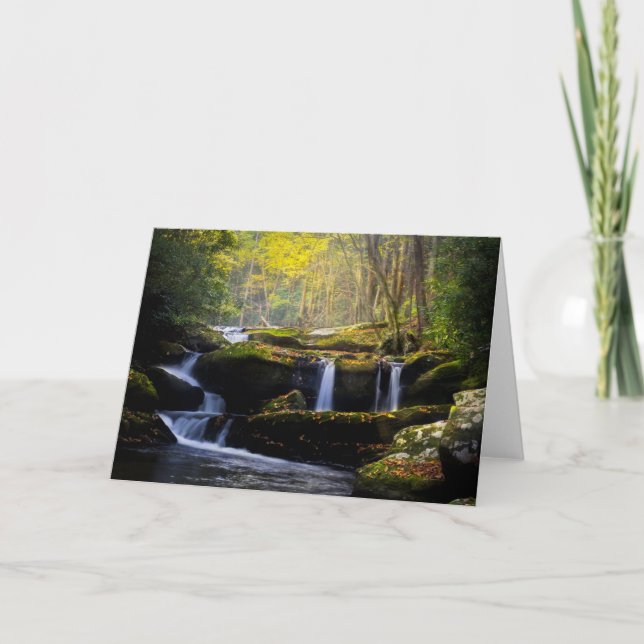 Waterfalls | Great Smoky Mountain National Park Karte (Vorderseite)