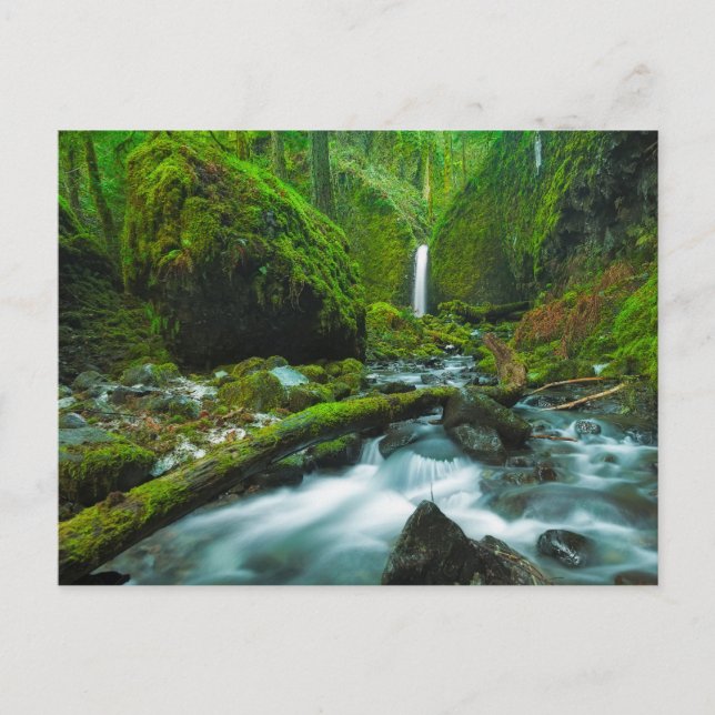 Waterfalls | Grotto Falls, Oregon Postkarte (Vorderseite)