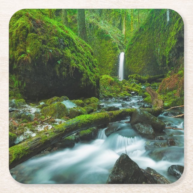 Waterfalls | Grotto Falls, Oregon Rechteckiger Pappuntersetzer (Vorderseite)