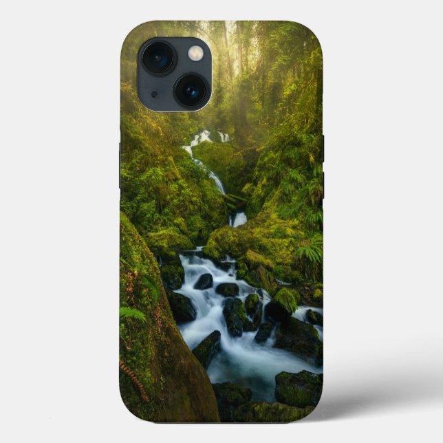 Waterfalls | Olympic National Park, Washington Case-Mate iPhone Hülle (Rückseite)