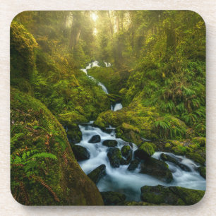 Waterfalls Olympic National Park, Washington Getränkeuntersetzer