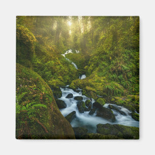 Waterfalls Olympic National Park, Washington Magnet