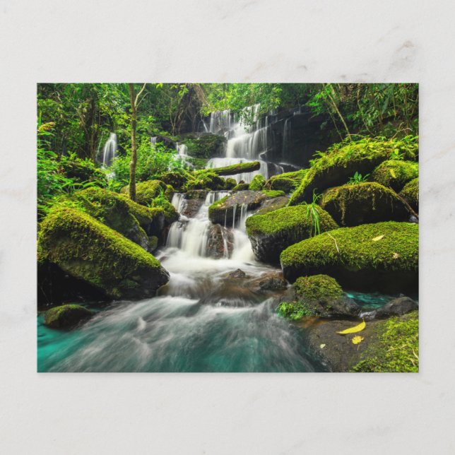 Waterfalls | Phu Tub Berk Mountain, Thailand Postkarte (Vorderseite)