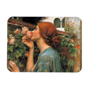 Waterhouse: Duft der Rosen Magnet