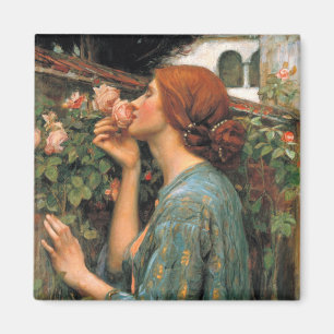 Waterhouse: Duft der Rosen Magnet