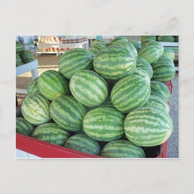 Watermelon Bundle Postkarte (Vorderseite)