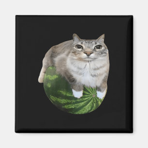 Watermelon Cat Albern Cat Meme Magnet